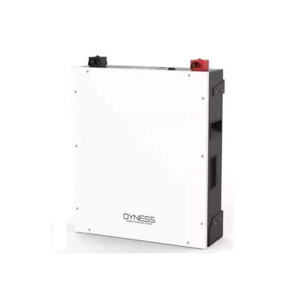 Акумуляторна батарея Dyness A48100