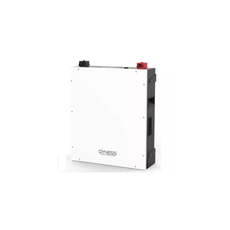 Акумуляторна батарея Dyness A48100