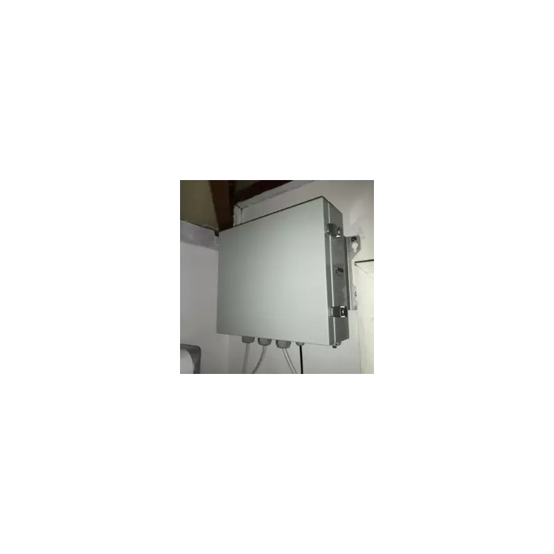 Gallery Image #6