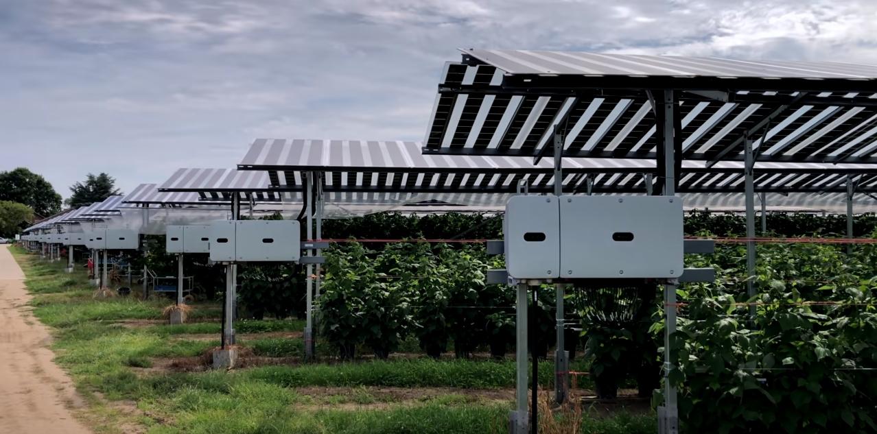 Солнечная электростанция для морозильных и инкубаторных предприятий, фермерских, тепличных и садовых хозяйств