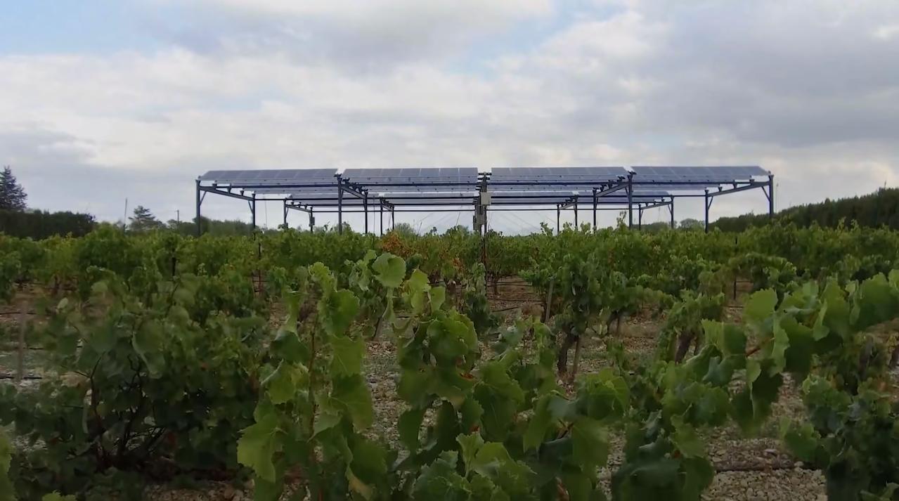 Солнечные электростанции для аграриев