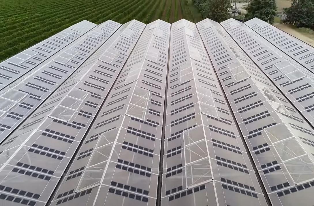 Солнечные батареи на крыше теплицы
